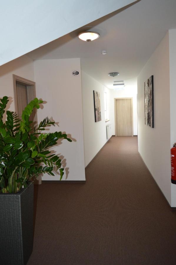 Pension Zur Traube Bergheim  Exterior foto